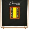 CHAMPION SPORTS CHAMPION PRO PITCHERS SCREEN W/STAND